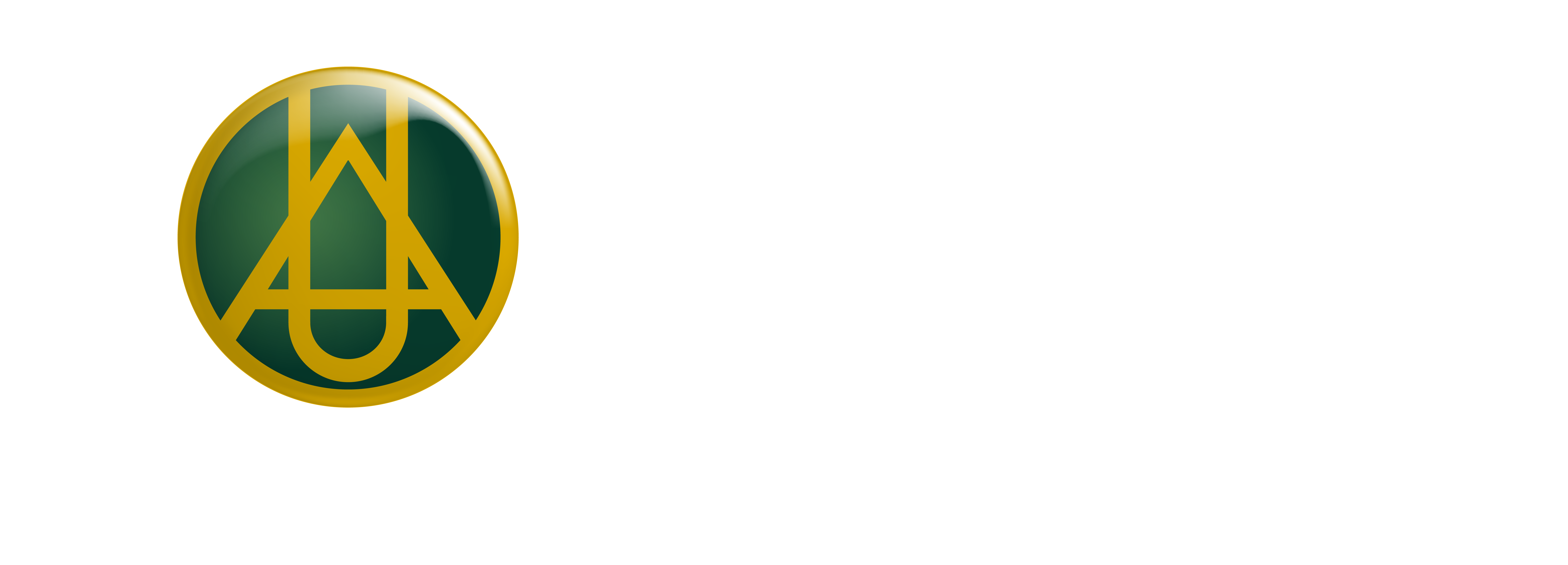 Universidad de América